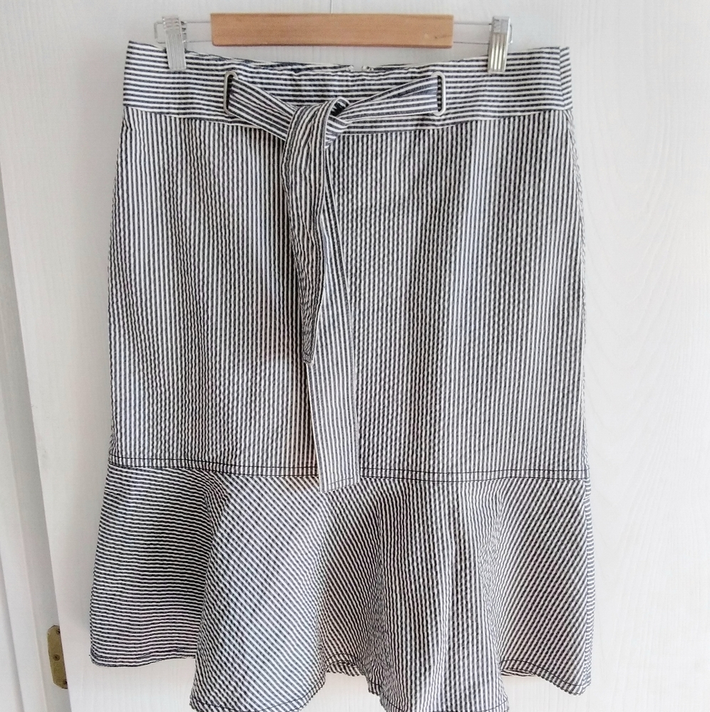 Ann Taylor Women's Skirt